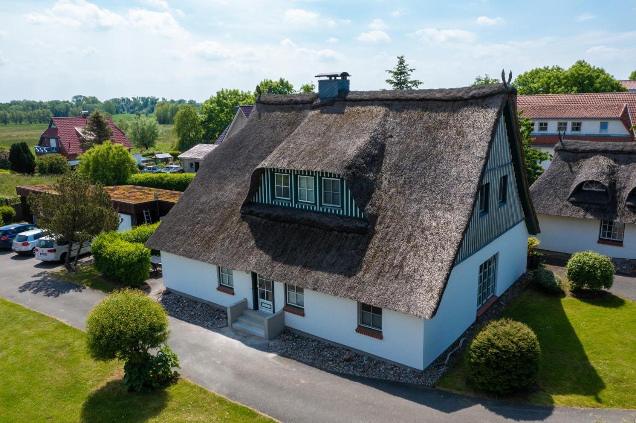 An Der Steilkueste Wohnung 02 Boltenhagen  Εξωτερικό φωτογραφία